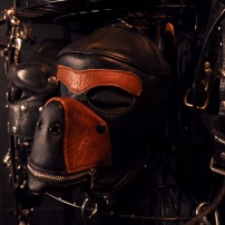 Leather dog hood